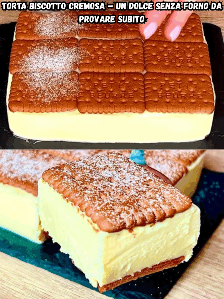 Torta Biscotto Cremosa – Un Dolce Senza Forno da Provare Subito