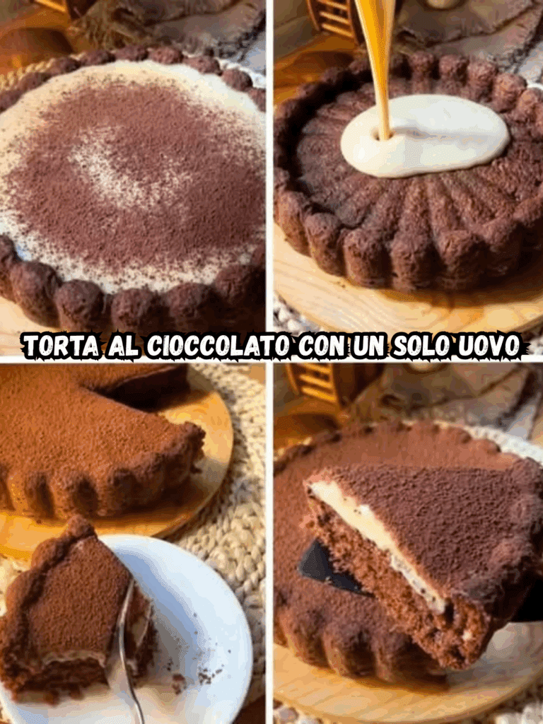 Torta al Cioccolato con un Solo Uovo