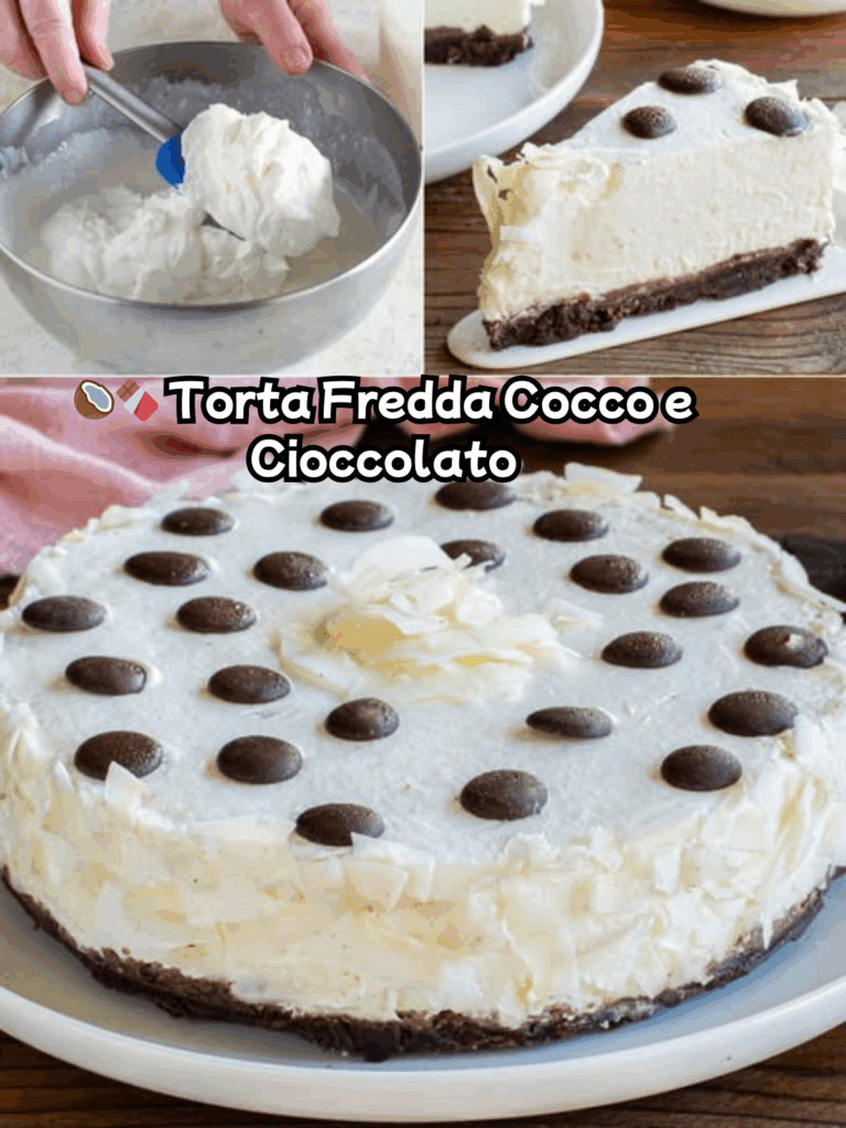 Torta Fredda Cocco e Cioccolato