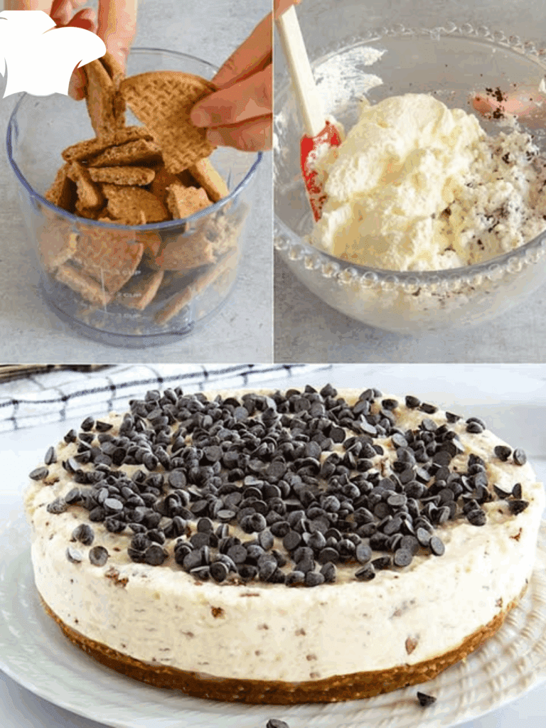 Cheesecake alla Ricotta e Cioccolato: il Dolce Senza Forno che Conquista Tutti