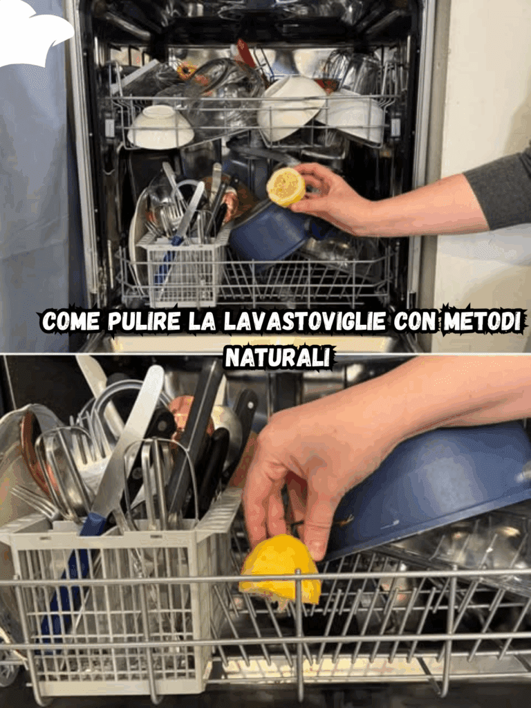 Come Pulire la Lavastoviglie con Metodi Naturali – La Guida Completa per un Elettrodomestico Sempre Perfetto
