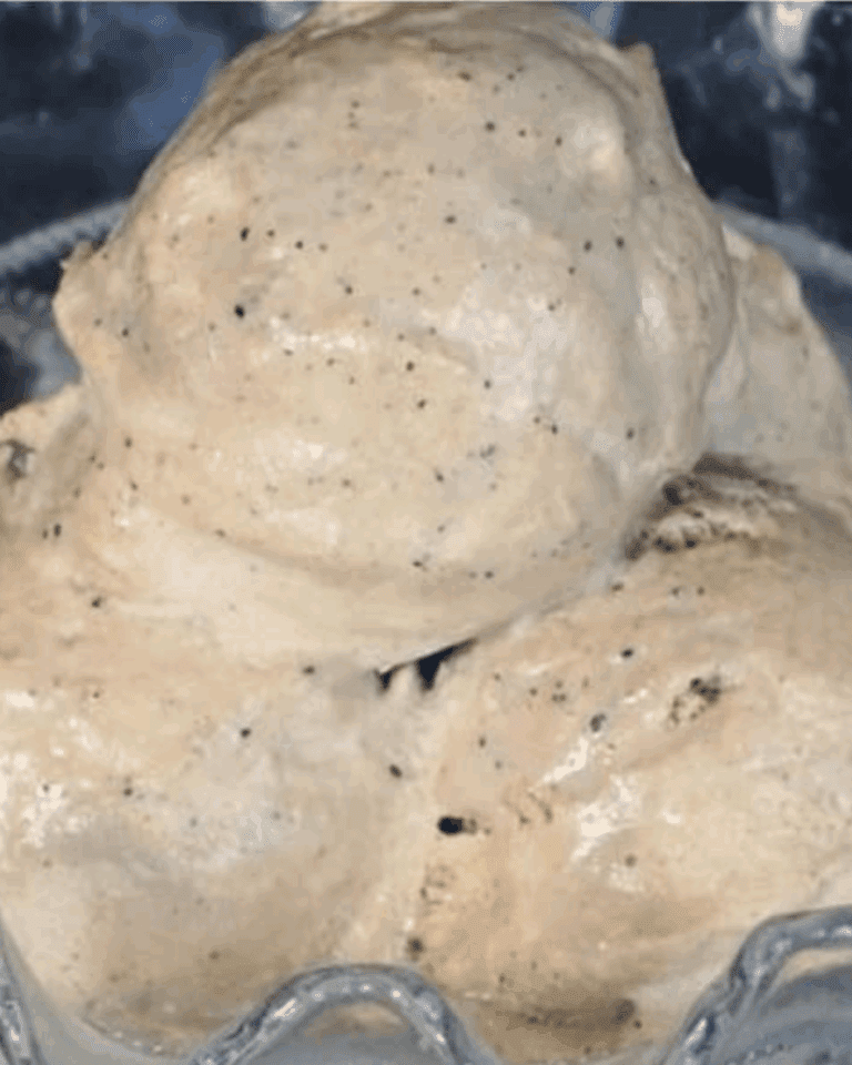 Gelato al Caffè Senza Zucchero in Bottiglia – Cremoso, Vellutato e Facilissimo.